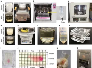 Advanced CUBIC tissue clearing for whole-organ cell profiling