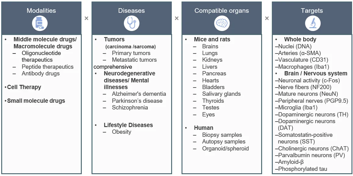 Tissue clearing example